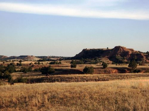 A scenic view of rolling hills and grassy plains under a clear sky, with sparse trees dotting the landscape.