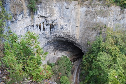 A large rock cave surrounded by greenery, with a winding path leading into the dark entrance.