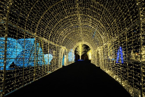 A beautifully lit tunnel adorned with sparkling fairy lights, creating a magical atmosphere.