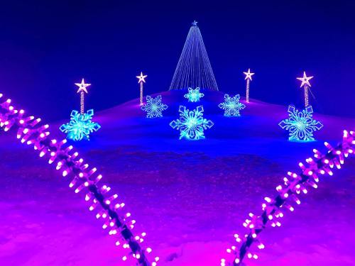 A snowy landscape illuminated with blue and purple holiday lights, featuring stars and snowflake decorations.