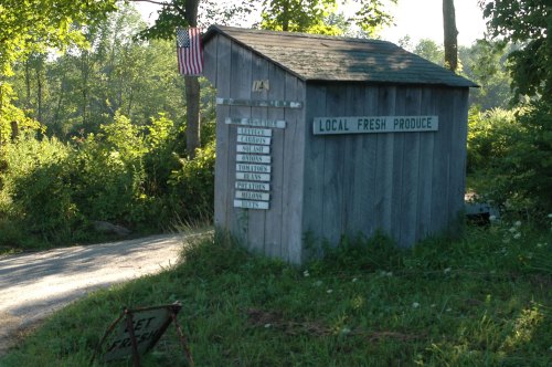 A small wooden shed with a sign for local fresh produce, surrounded by greenery and a flag hanging above.