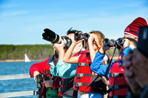 A group of people, including children, wearing life vests, using binoculars and cameras by a lake on a sunny day.