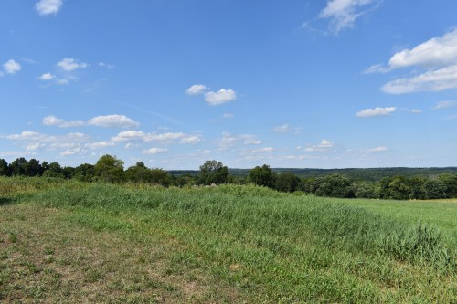 A scenic landscape featuring green grass, trees, and a blue sky with fluffy white clouds.