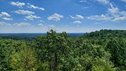 A panoramic view of lush green trees under a bright blue sky with scattered clouds.