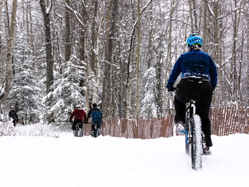 A person rides a fat bike on a snowy trail, surrounded by trees, with two others biking in the background.