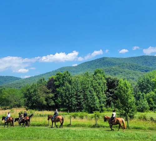 A group of horseback riders on a grassy field with lush green mountains and a blue sky in the background.