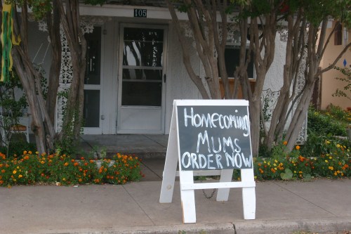 A sidewalk sign outside a house reads "Homecoming Mums Order Now," surrounded by flowers and greenery.