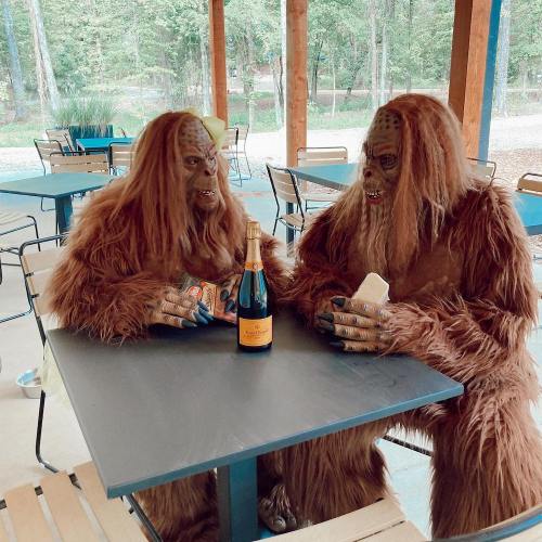Two people in Bigfoot costumes sit at a table with a bottle of champagne, surrounded by a forested outdoor setting.
