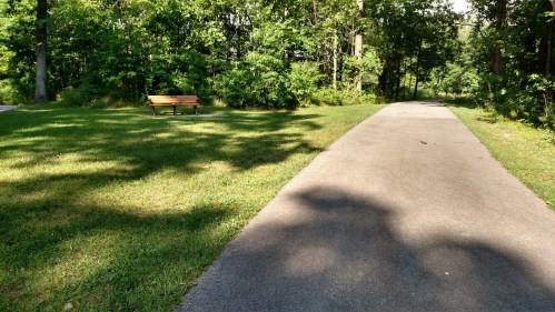 A peaceful park scene featuring a bench on grass beside a paved path surrounded by trees.