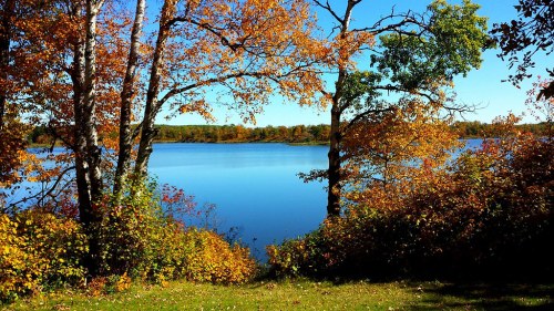 A serene lake surrounded by vibrant autumn foliage and trees under a clear blue sky.
