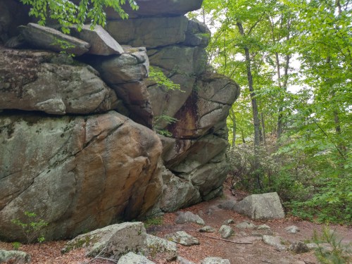 A rocky outcrop surrounded by green trees and foliage, with a dirt path leading through the forest.
