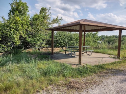 A shaded picnic area with a table under a roof, surrounded by tall grass and trees.