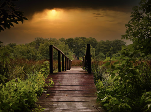 A wooden bridge leads through lush greenery towards a forest under a dramatic, cloudy sky at sunset.