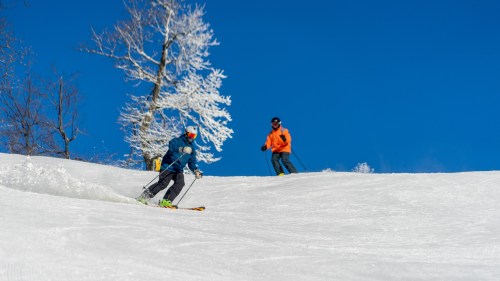 Two skiers navigate a snowy slope under a clear blue sky, with a frosted tree in the background.