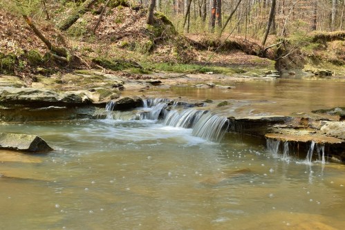 A serene stream flows over rocky ledges in a wooded area, surrounded by trees and gentle greenery.