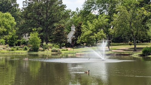 A serene park scene featuring a pond with a fountain, surrounded by trees and a small white building in the background.