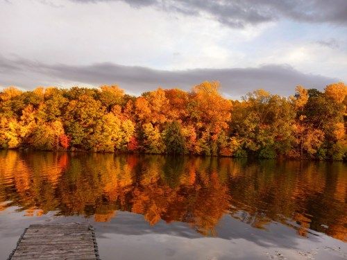 A serene lake reflecting vibrant autumn foliage in shades of orange and yellow under a cloudy sky.