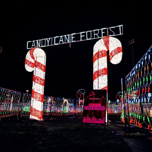 A festive display featuring large candy cane lights and a sign reading "Candy Cane Forest" against a dark night sky.