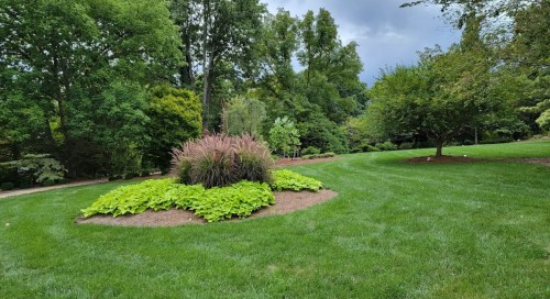 A lush green park featuring a circular flower bed surrounded by vibrant plants and trees under a cloudy sky.