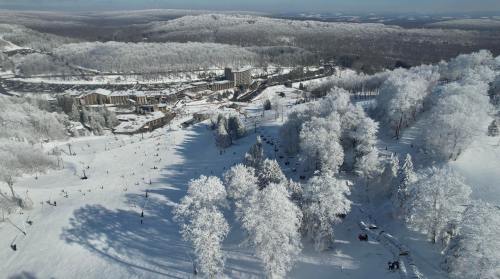 A snowy landscape with frosted trees, ski slopes, and a resort nestled in the mountains under a clear sky.