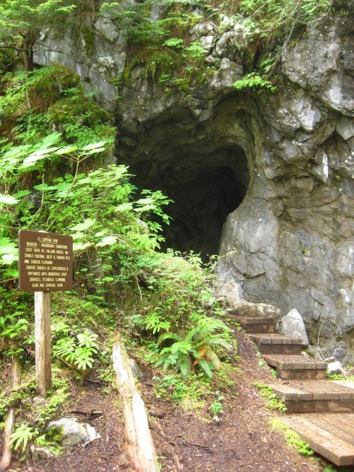 A rocky cave entrance surrounded by lush greenery, with a wooden path and a sign nearby.