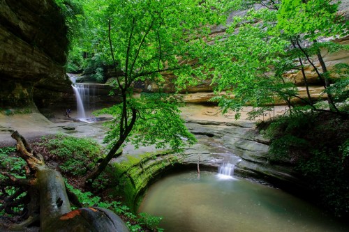 A serene forest scene with waterfalls cascading into a tranquil pool, surrounded by lush greenery and rocky cliffs.