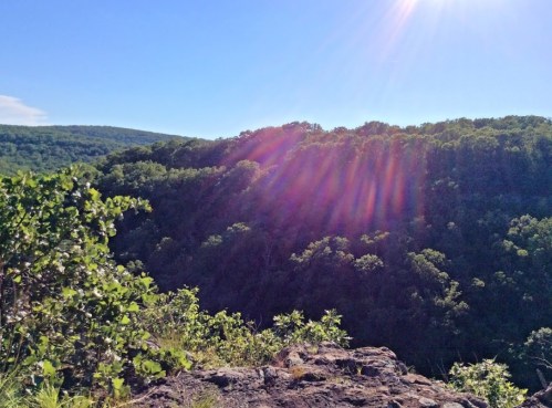 A scenic view of a lush green hillside under a clear blue sky, with sunlight creating a lens flare effect.