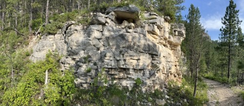 A rocky outcrop surrounded by greenery and trees along a dirt path in a forested area.