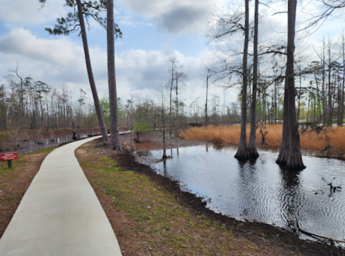 A winding path through a wetland area with trees, water, and tall grasses under a cloudy sky.