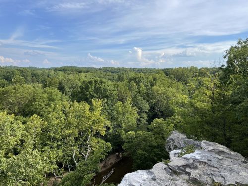 A scenic view from a rocky overlook, showcasing lush green trees and a clear blue sky with scattered clouds.