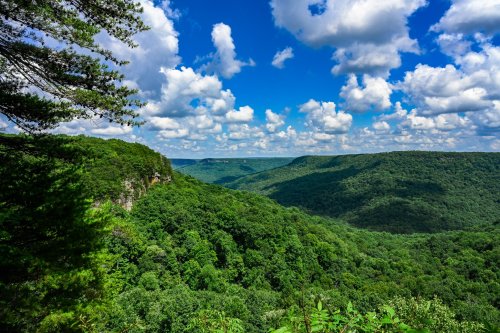 A panoramic view of lush green hills under a bright blue sky with fluffy white clouds.