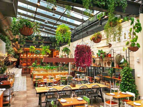 A vibrant restaurant interior with hanging plants, wooden tables, and a bright, airy atmosphere.