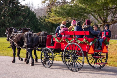 A red horse-drawn carriage with children riding, decorated with greenery, travels along a path in a park.