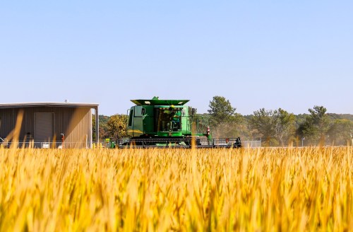 A green combine harvester working in a golden field under a clear blue sky, with a building in the background.
