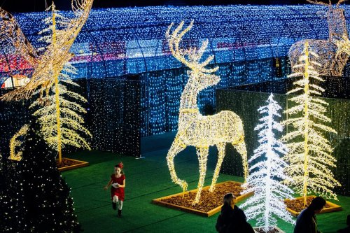 A child in a red outfit runs through a festive display of illuminated reindeer and trees during the holiday season.