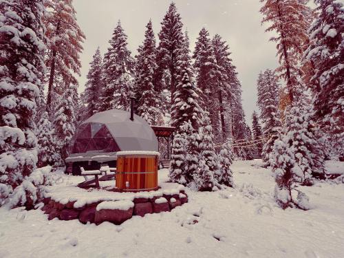 A geodesic dome cabin surrounded by snow-covered trees, with a wooden hot tub nearby in a winter landscape.