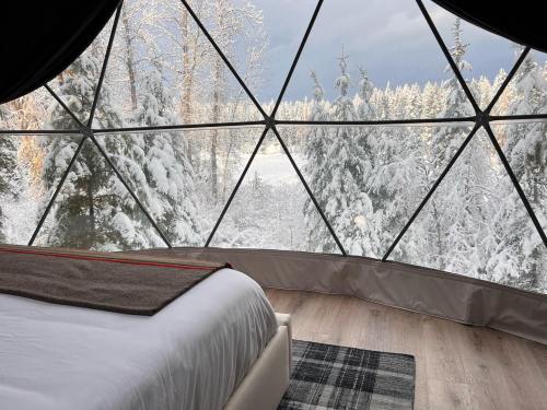 Cozy interior of a geodesic dome with a view of a snowy forest through large windows.