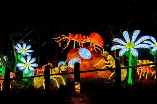 Colorful lanterns depicting ants and flowers in a nighttime setting, creating a vibrant, illuminated scene.