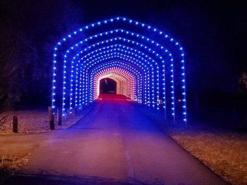 A pathway illuminated by blue and red lights, creating an archway effect at night.