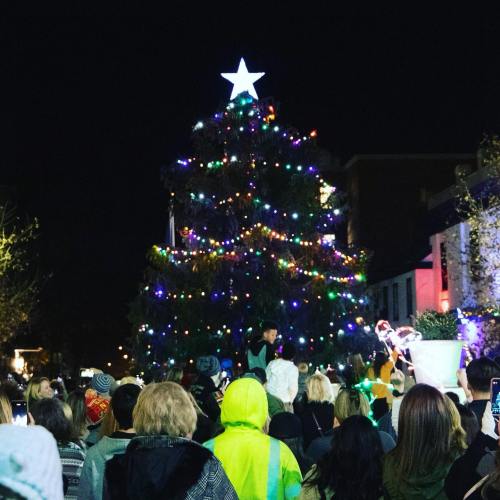 A crowd gathers around a brightly lit Christmas tree adorned with colorful lights and a star on top at night.