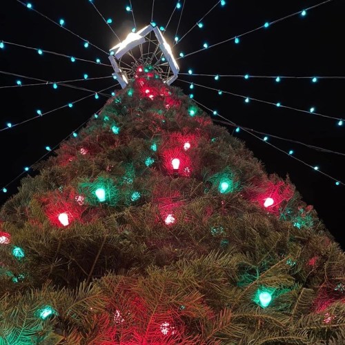 A brightly lit Christmas tree with red and green lights, viewed from below against a dark night sky.