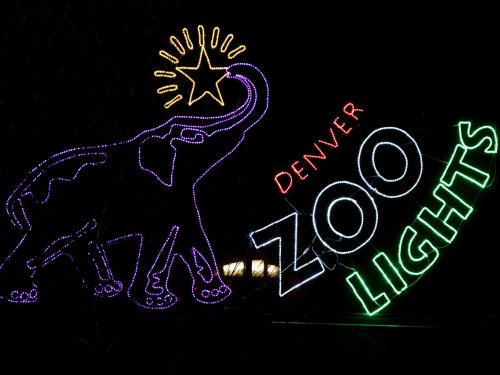 Neon lights display featuring an elephant and the text "Denver Zoo Lights" with a star above the elephant's trunk.