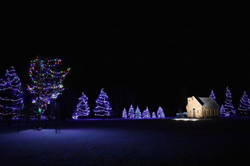 A winter scene featuring a small brick building surrounded by brightly lit Christmas trees in a dark night setting.
