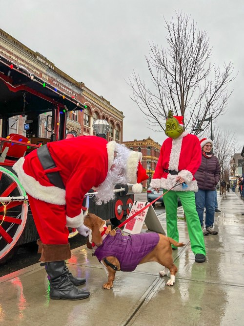 Two people in Santa costumes interact with a dog in a purple coat, while a person in a Grinch mask looks on.