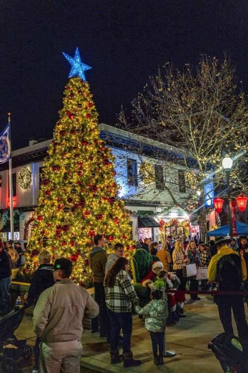 A festive Christmas tree adorned with lights and ornaments, surrounded by people enjoying the holiday atmosphere at night.