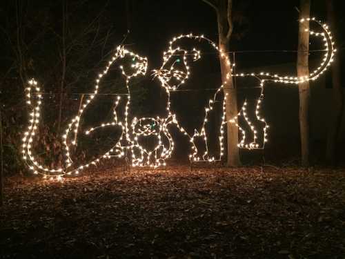 Two large animal silhouettes made of string lights, depicting a cat and a lion, set against a dark, wooded background.