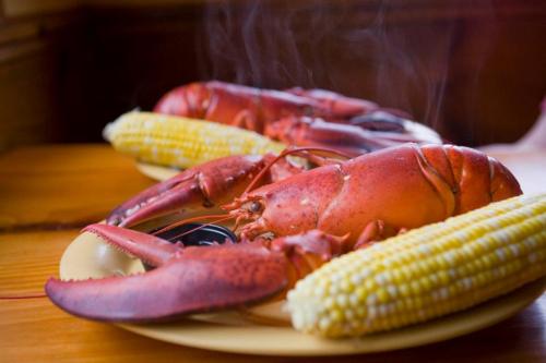 A plate with two steaming lobsters and a cob of corn, set on a wooden table.