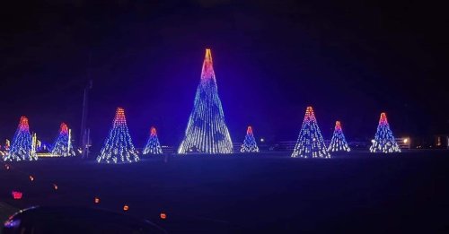 Colorful illuminated Christmas trees in a dark night setting, featuring blue and red lights arranged in a festive display.