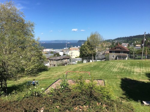 A scenic view of a harbor with ships, surrounded by green grass and trees under a clear blue sky.