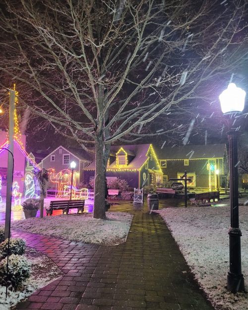 A snowy night scene of a park with colorful holiday lights on trees and buildings, illuminated by a streetlamp.